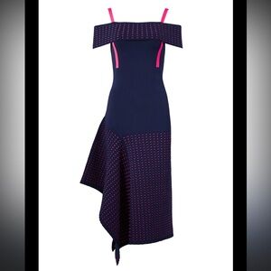 Jason Wu Navy and Pink Off-Shoulder Dress